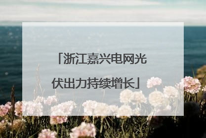 浙江嘉兴电网光伏出力持续增长